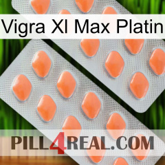 Vigra Xl Max Platinum 27
